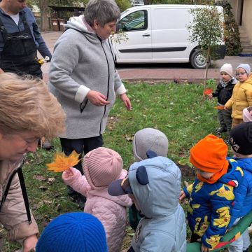 Dzień Drzewa 10.10-14.10